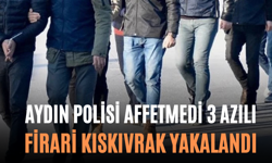 Aydın Polisi Affetmedi 3 Azılı Firari Kıskıvrak Yakalandı