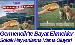 Germencik’te Bayat Ekmekler Sokak Hayvanlarına Mama Oluyor!