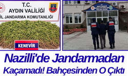Nazilli'de Jandarmadan Kaçamadı! Bahçesinden O Çıktı