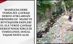 Manisa’da Dere Temizliği: Çaybaşı Deresi Atıklardan Arındırıldı!
