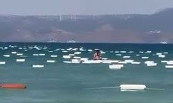 Çeşme Paşalimanı'nda Denizden Kıyıya Vuran Köpük Kutular Kirlilik Yarattı