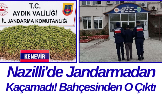 Nazilli'de Jandarmadan Kaçamadı! Bahçesinden O Çıktı
