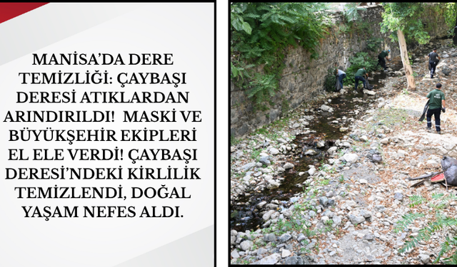 Manisa’da Dere Temizliği: Çaybaşı Deresi Atıklardan Arındırıldı!