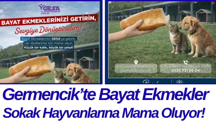Germencik’te Bayat Ekmekler Sokak Hayvanlarına Mama Oluyor!