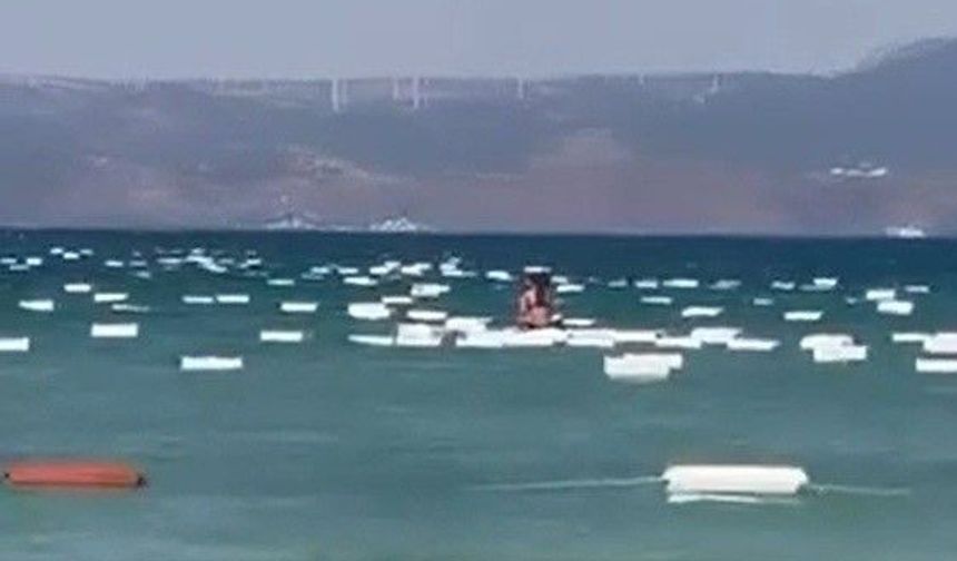 Çeşme Paşalimanı'nda Denizden Kıyıya Vuran Köpük Kutular Kirlilik Yarattı